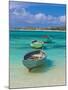 Small Fishing Boats in the Turquoise Sea, Mauritius, Indian Ocean, Africa-null-Mounted Premium Photographic Print