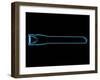 Small Flashlight-sauliusl-Framed Art Print