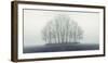 Small Forest in Autumn Foggy Morning-Konrad B?k-Framed Premium Photographic Print