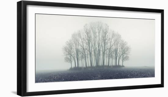 Small Forest in Autumn Foggy Morning-Konrad B?k-Framed Premium Photographic Print