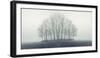 Small Forest in Autumn Foggy Morning-Konrad B?k-Framed Premium Photographic Print