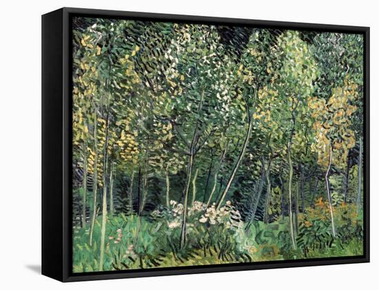 Small forest, July 1890-Vincent van Gogh-Framed Stretched Canvas