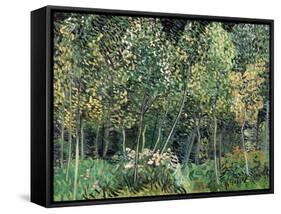 Small forest, July 1890-Vincent van Gogh-Framed Stretched Canvas