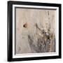 Small Grandeur II-Jodi Maas-Framed Giclee Print