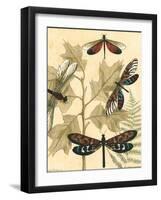 Small Graphic Dragonflies I-Megan Meagher-Framed Art Print