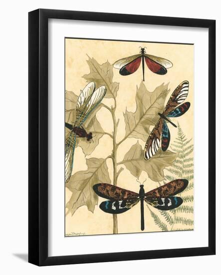 Small Graphic Dragonflies I-Megan Meagher-Framed Art Print