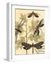 Small Graphic Dragonflies I-Megan Meagher-Framed Art Print