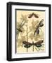 Small Graphic Dragonflies I-Megan Meagher-Framed Art Print