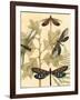 Small Graphic Dragonflies I-Megan Meagher-Framed Art Print