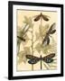 Small Graphic Dragonflies I-Megan Meagher-Framed Art Print