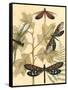 Small Graphic Dragonflies I-Megan Meagher-Framed Stretched Canvas