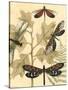 Small Graphic Dragonflies I-Megan Meagher-Stretched Canvas