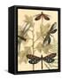 Small Graphic Dragonflies I-Megan Meagher-Framed Stretched Canvas