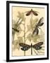 Small Graphic Dragonflies I-Megan Meagher-Framed Art Print