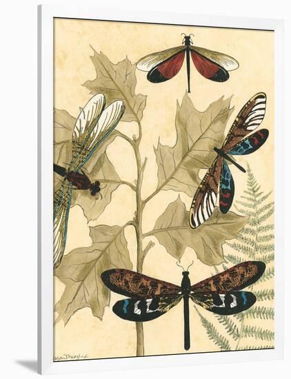 Small Graphic Dragonflies I-Megan Meagher-Framed Art Print