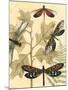Small Graphic Dragonflies I-Megan Meagher-Mounted Art Print