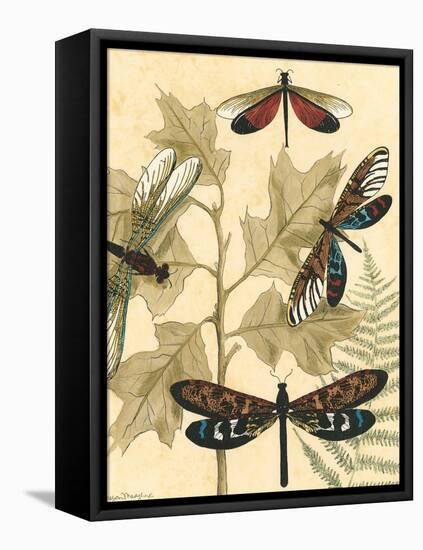 Small Graphic Dragonflies I-Megan Meagher-Framed Stretched Canvas