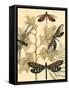 Small Graphic Dragonflies I-Megan Meagher-Framed Stretched Canvas