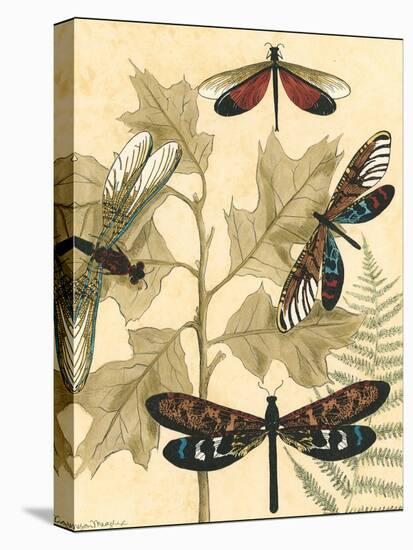 Small Graphic Dragonflies I-Megan Meagher-Stretched Canvas