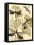 Small Graphic Dragonflies II-Megan Meagher-Framed Stretched Canvas