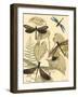 Small Graphic Dragonflies II-Megan Meagher-Framed Art Print