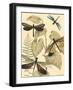 Small Graphic Dragonflies II-Megan Meagher-Framed Art Print