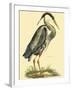 Small Great Blue Heron-John Selby-Framed Art Print