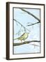 Small Habitat I-Jennifer Goldberger-Framed Art Print