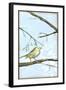 Small Habitat I-Jennifer Goldberger-Framed Art Print