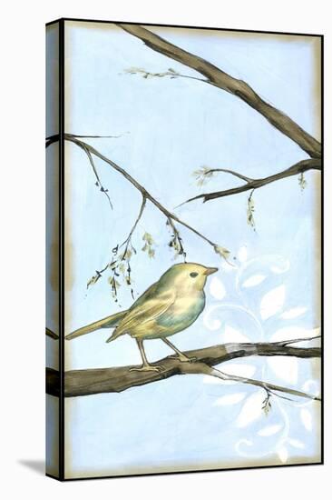 Small Habitat I-Jennifer Goldberger-Stretched Canvas