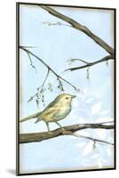 Small Habitat I-Jennifer Goldberger-Mounted Art Print