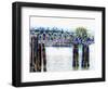 Small Harbour at Passignano sul Trasimeno-Dorothy Berry-Lound-Framed Giclee Print