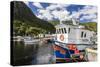 Small Harbour with Fishing Boats Outside St. John'S, Newfoundland, Canada, North America-Michael-Stretched Canvas