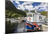 Small Harbour with Fishing Boats Outside St. John'S, Newfoundland, Canada, North America-Michael-Mounted Photographic Print