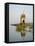 Small Hindu Temple in Middle of the Narmada River, Maheshwar, Madhya Pradesh State, India-R H Productions-Framed Stretched Canvas