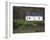 Small House and Sheep, Wester Ross, Highland Region, Scotland, United Kingdom, Europe-Patrick Dieudonne-Framed Photographic Print