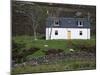 Small House and Sheep, Wester Ross, Highland Region, Scotland, United Kingdom, Europe-Patrick Dieudonne-Mounted Photographic Print