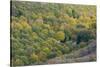 Small house in the forest in autumn, Monte Cucco Park, Apennines, Umbria, Italy, Europe-Lorenzo Mattei-Stretched Canvas