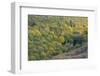 Small house in the forest in autumn, Monte Cucco Park, Apennines, Umbria, Italy, Europe-Lorenzo Mattei-Framed Photographic Print