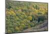 Small house in the forest in autumn, Monte Cucco Park, Apennines, Umbria, Italy, Europe-Lorenzo Mattei-Mounted Photographic Print