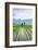 Small Hut in the Middle of Padi Field in Sumatra, Indonesia, Southeast Asia-John Alexander-Framed Photographic Print