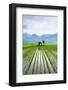 Small Hut in the Middle of Padi Field in Sumatra, Indonesia, Southeast Asia-John Alexander-Framed Photographic Print