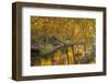 Small Inlet on Lake Ogle in Autumn in Brown County Sp, Indiana-Chuck Haney-Framed Photographic Print