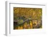 Small Inlet on Lake Ogle in Autumn in Brown County Sp, Indiana-Chuck Haney-Framed Photographic Print