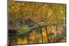 Small Inlet on Lake Ogle in Autumn in Brown County Sp, Indiana-Chuck Haney-Mounted Photographic Print