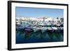 Small Inshore Fishing Boats in Tangier Fishing Harbour, Tangier, Morocco, North Africa, Africa-Mick Baines & Maren Reichelt-Framed Photographic Print