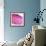 Small Intestine Section, Light Micrograph-Dr. Keith Wheeler-Framed Premium Photographic Print displayed on a wall