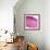 Small Intestine Section, Light Micrograph-Dr. Keith Wheeler-Framed Premium Photographic Print displayed on a wall