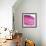 Small Intestine Section, Light Micrograph-Dr. Keith Wheeler-Framed Premium Photographic Print displayed on a wall