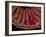 Small Intestine Villi, Section-Thomas Deerinck-Framed Photographic Print